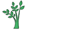 Иркутск-лес